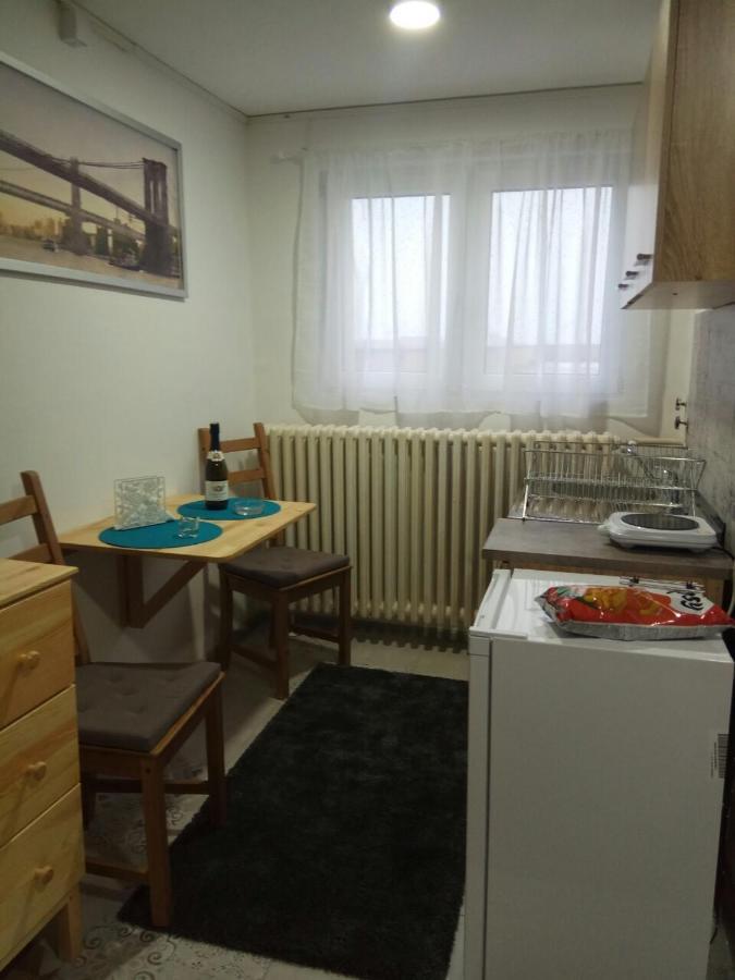 Tatjanina Garsonjera Apartamento Subotica Exterior foto